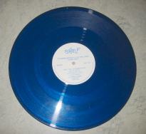 Tottenham Hotspur F.A. Cup Final Squad, Season 1980/81